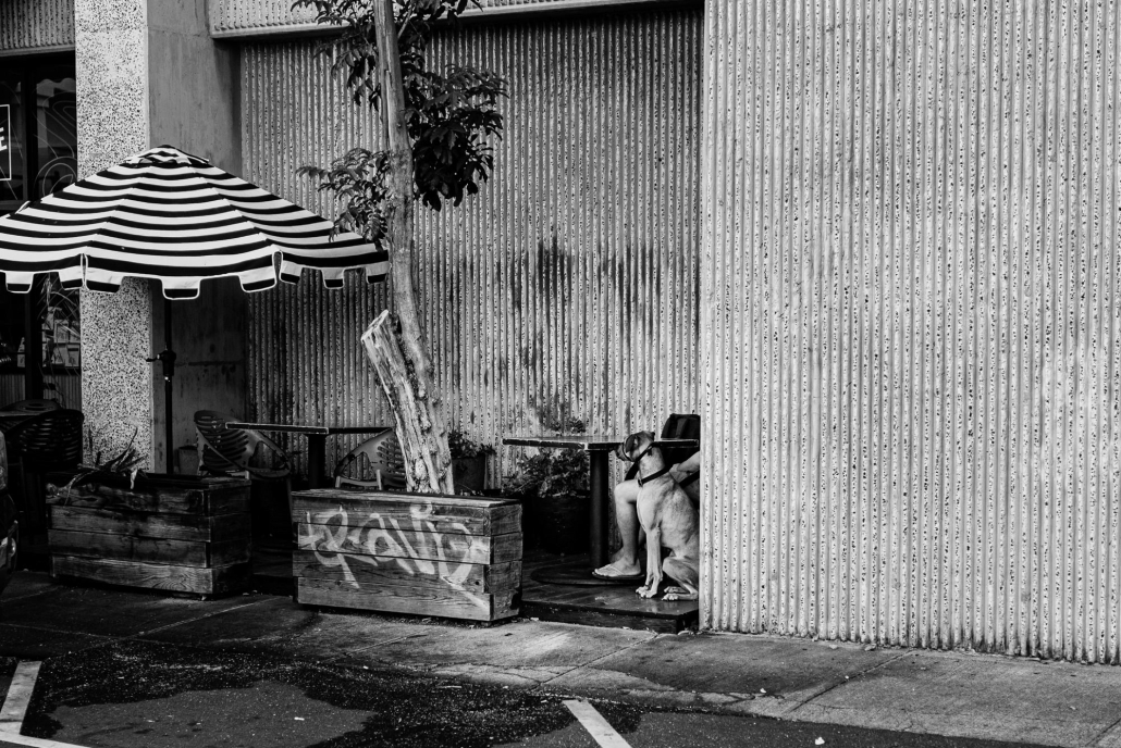 Downtown street photography of a man & his best friend.